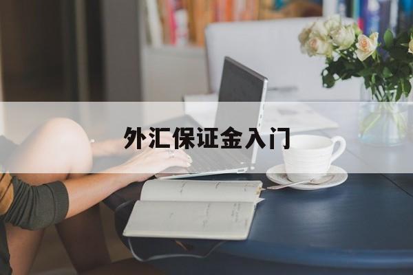 外汇保证金入门(外汇保证金怎么计算公式)